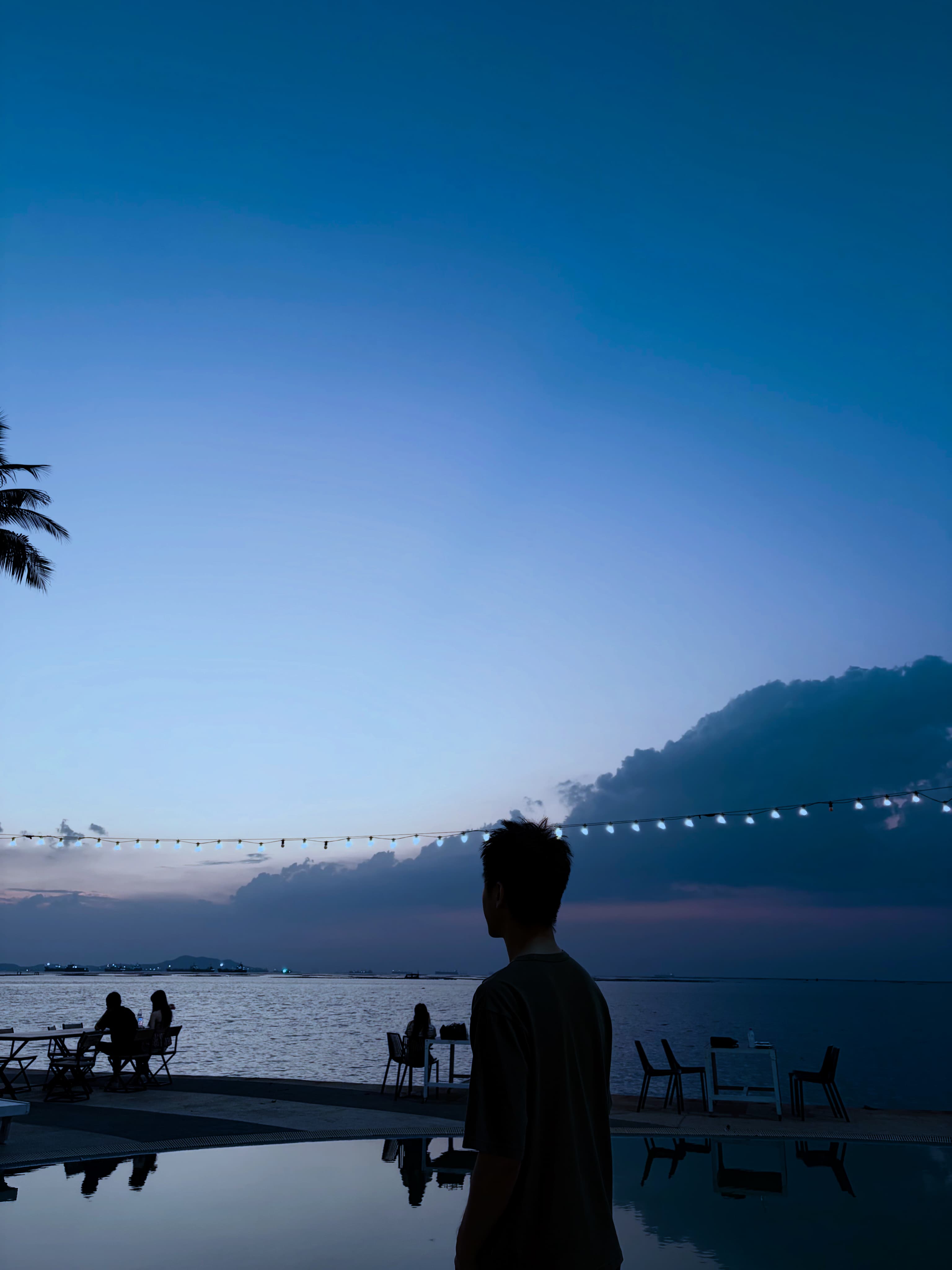 Frank looking out over the ocean at dusk